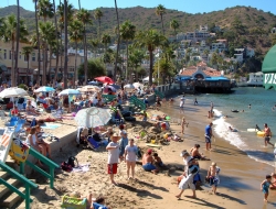 A picturesque view of Catalina Island's Avalon Beach